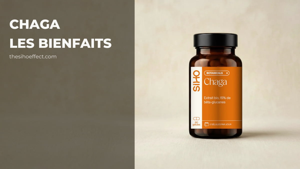 les bienfaits du chaga