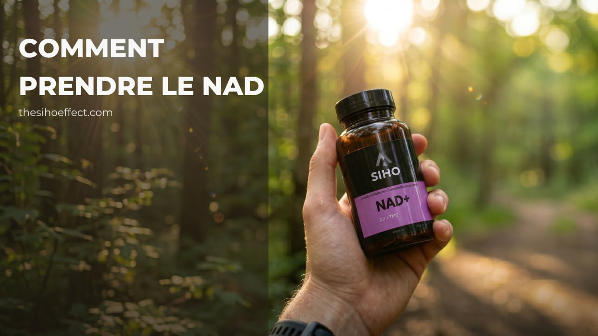 Quand et comment prendre du NAD : Nos meilleurs conseils