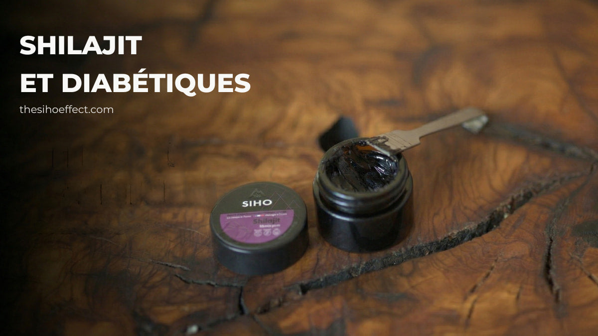 shilajit diabete