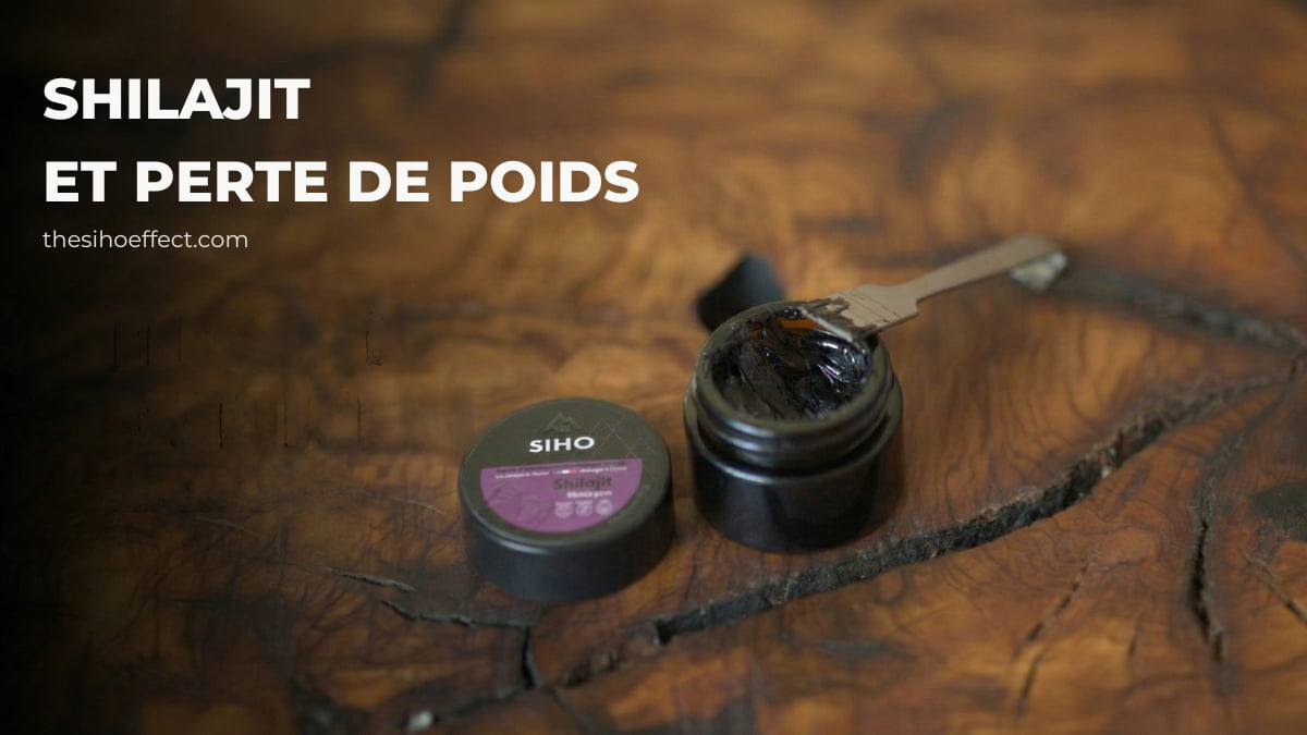 Le shilajit est-il efficace pour la perte de poids ?