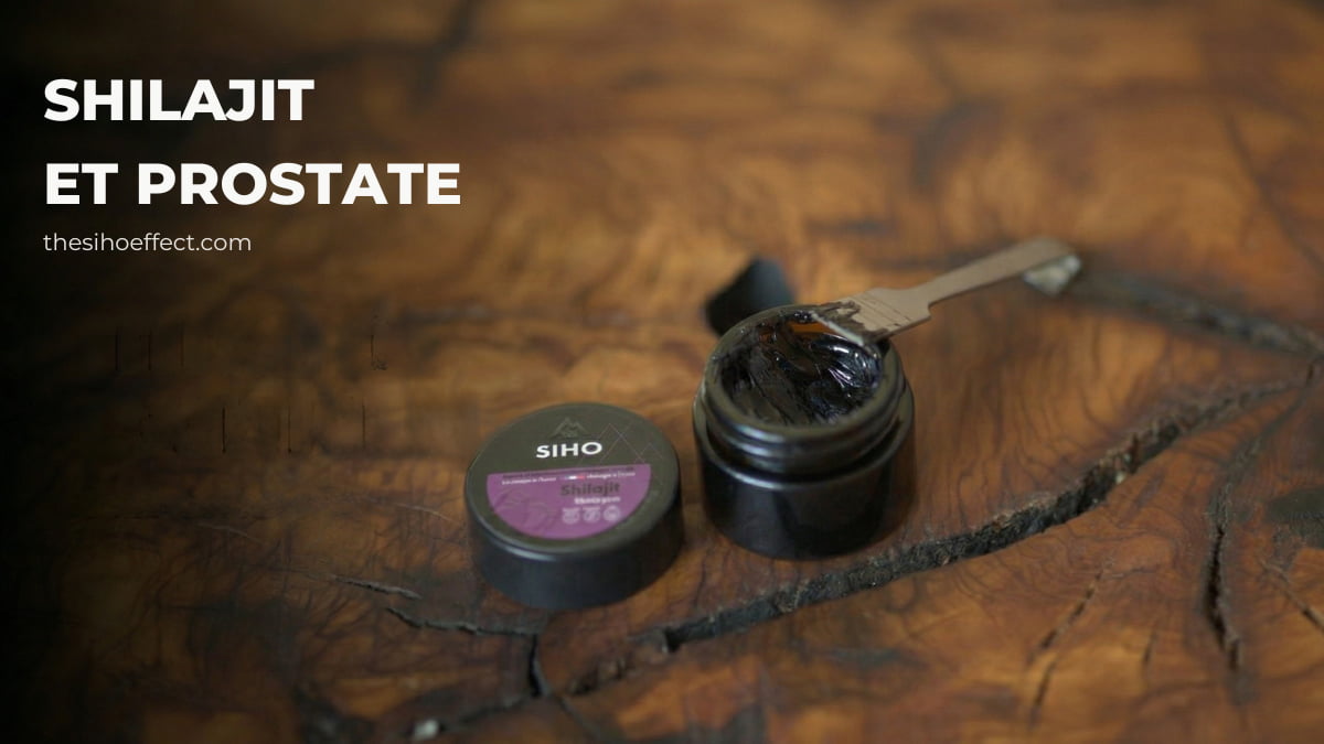 shilajit prostate