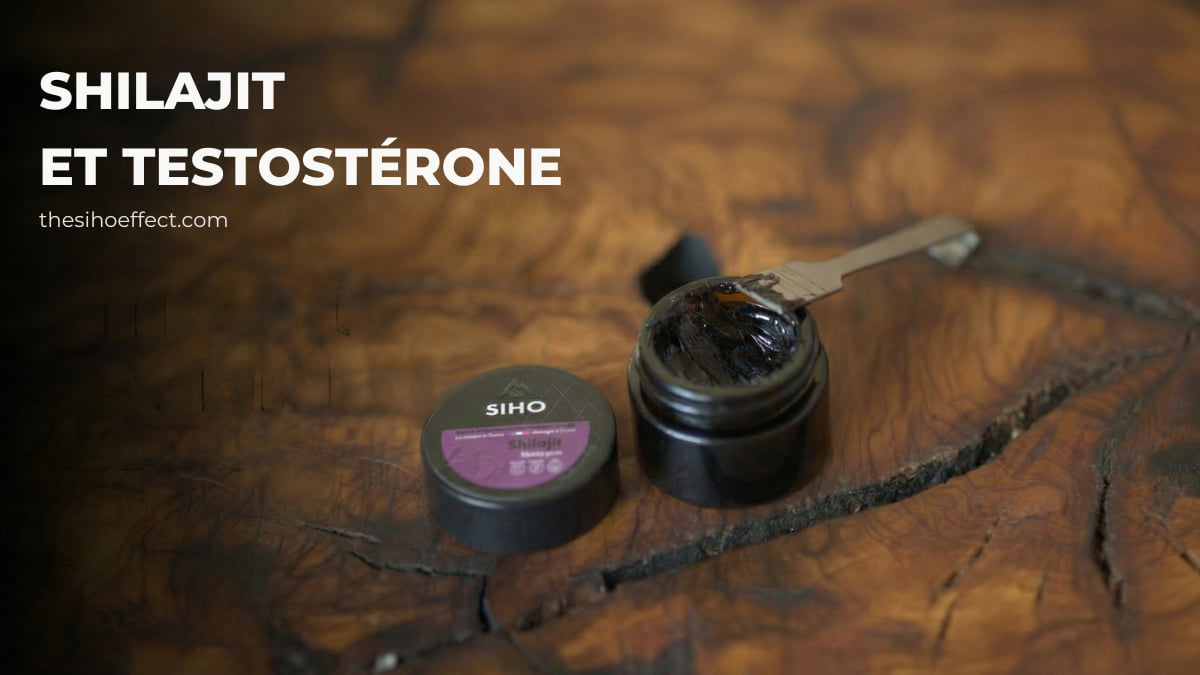 shilajit testosterone