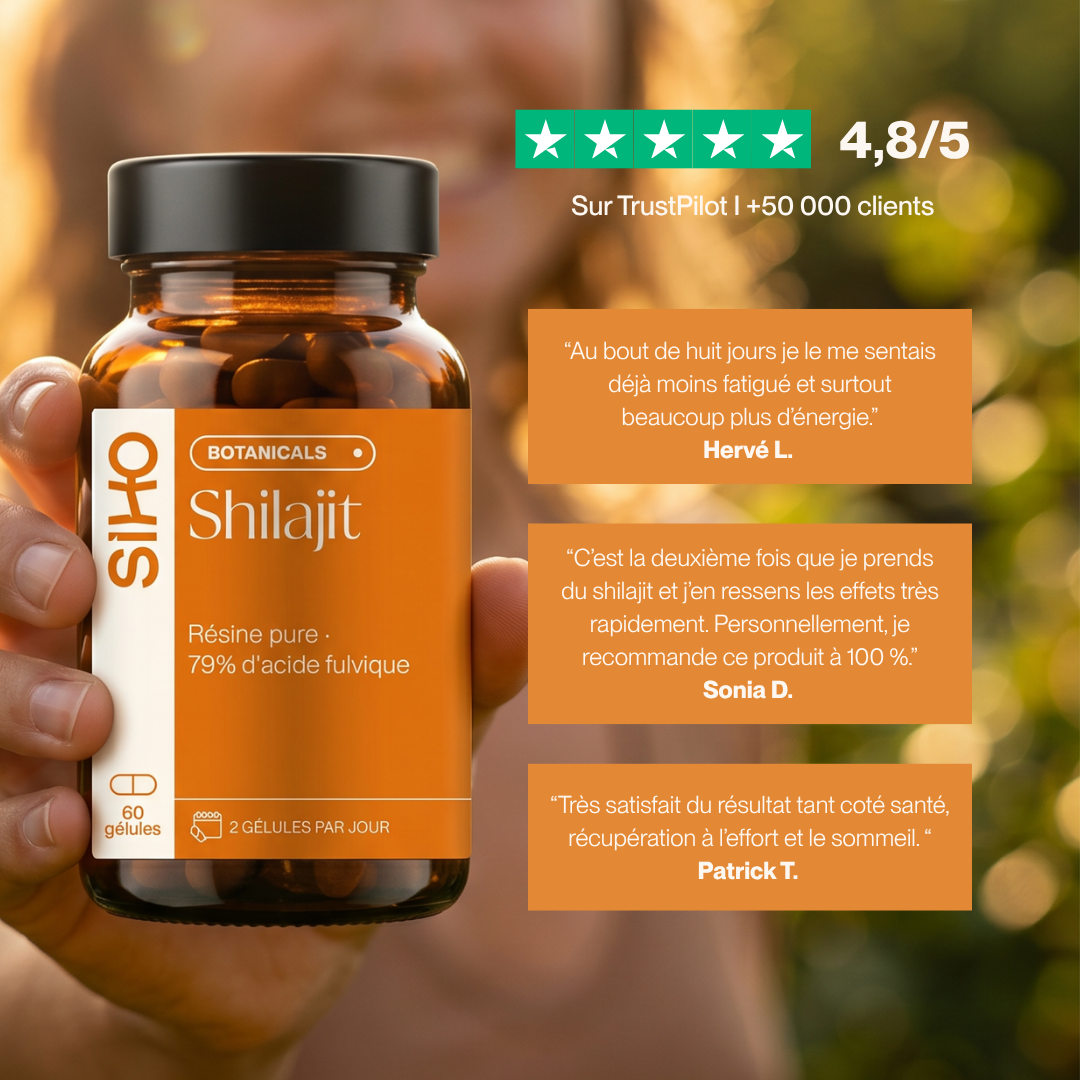 Shilajit Pur en gélules : Pur à 100% - 60 gélules - 1 mois