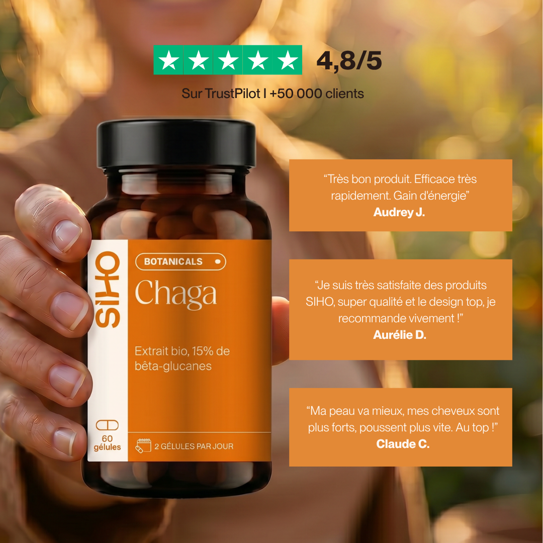 Chaga, extrait bio hautement dosé