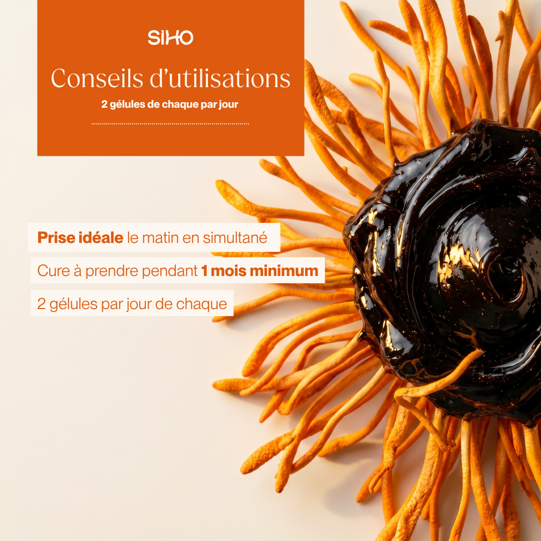 Pack Énergie I Shilajit + Cordyceps + CoQ10