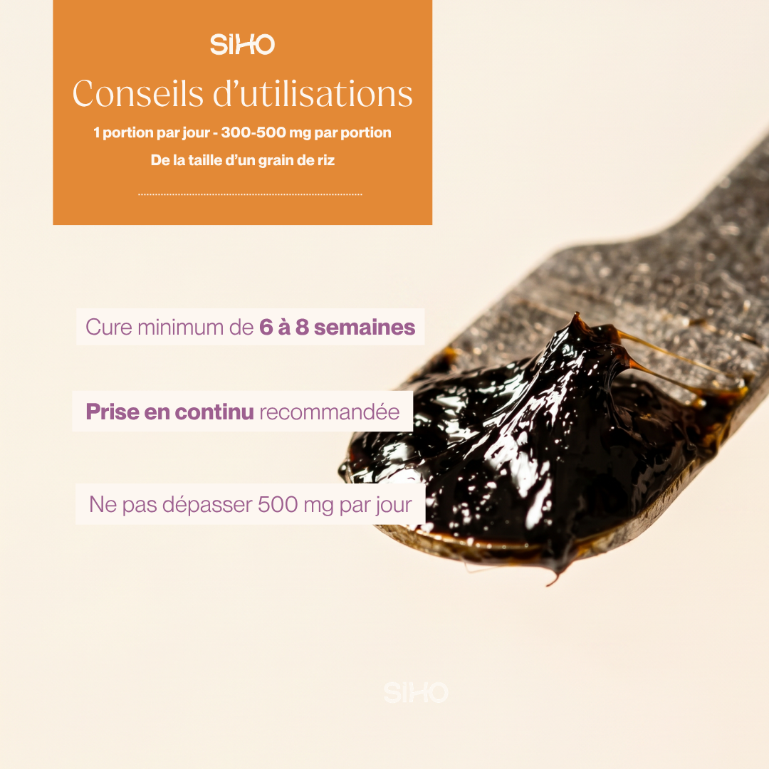 Résine de Shilajit : Pure 100% - 15g - 1 mois - Format découverte