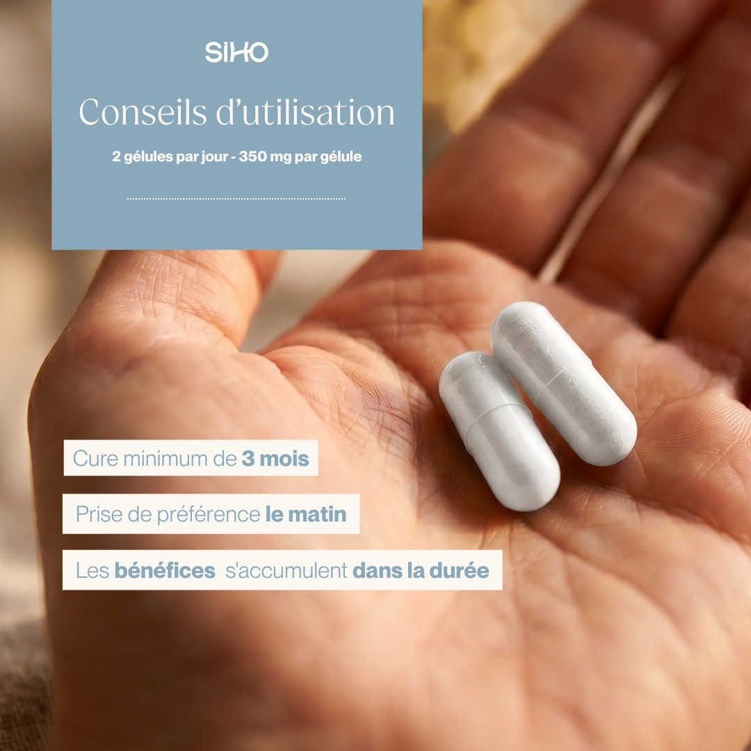 NAD+ | Énergie Cellulaire & Longévité | 60 gélules