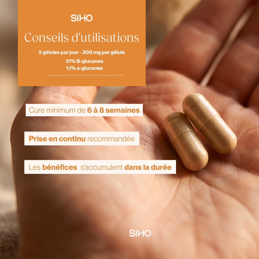 Chaga, extrait bio hautement dosé