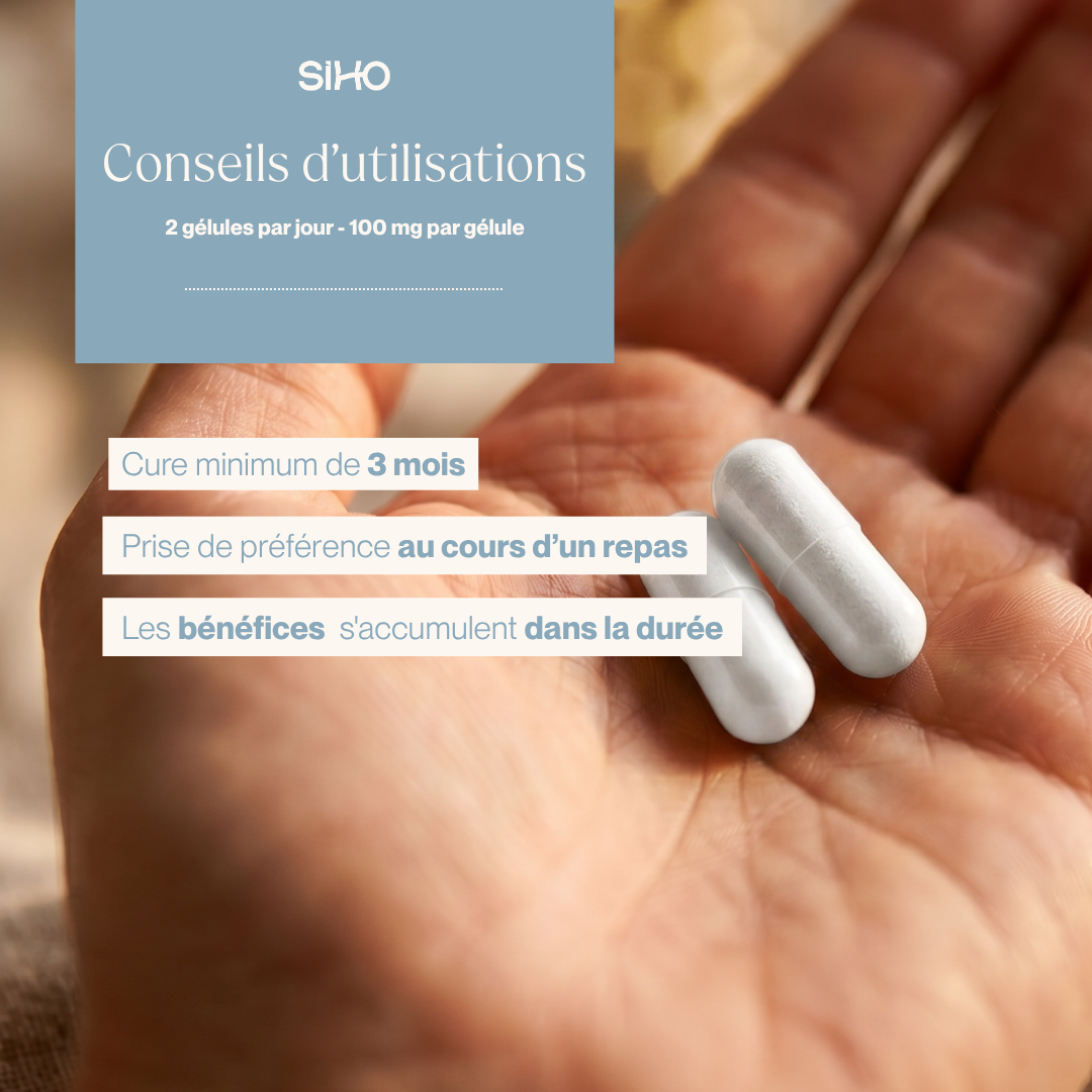 Coenzyme Q10 - CoQ10 - hautement dosée