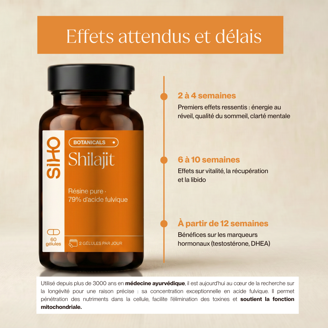 Shilajit Pur en gélules : Pur à 100% - 60 gélules - 1 mois