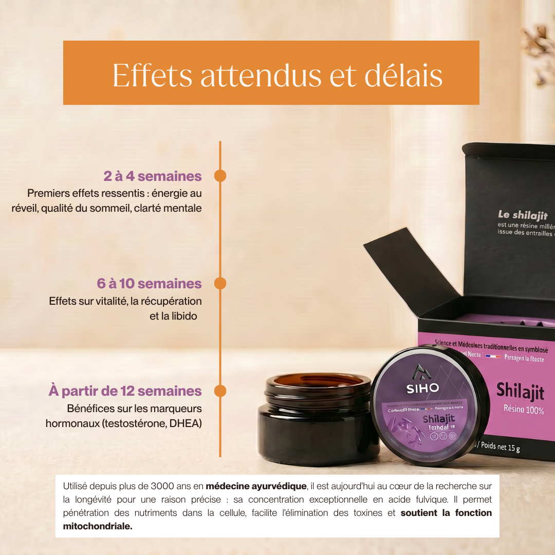 Résine de Shilajit : Pure 100% - 30g - 2 mois