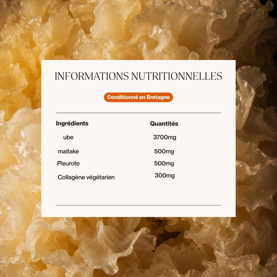 Repulp | Boisson Fonctionnelle Ube Pleurote Tremella - Peau Fermeté Teint