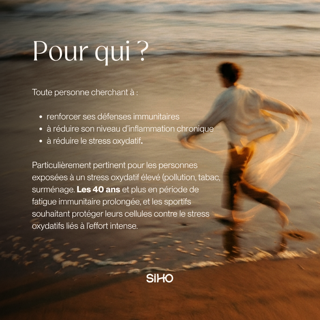 Chaga, extrait bio hautement dosé