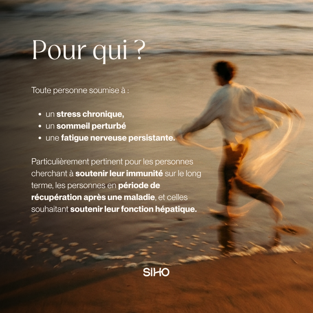 Reishi extrait bio