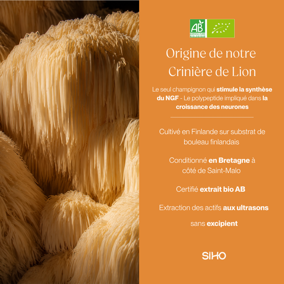 Hericium / Crinière de lion, extrait bio - 60 gélules - 1 mois