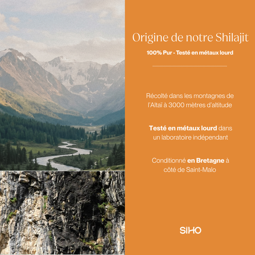 Shilajit Pur en gélules : Pur à 100% - 60 gélules - 1 mois