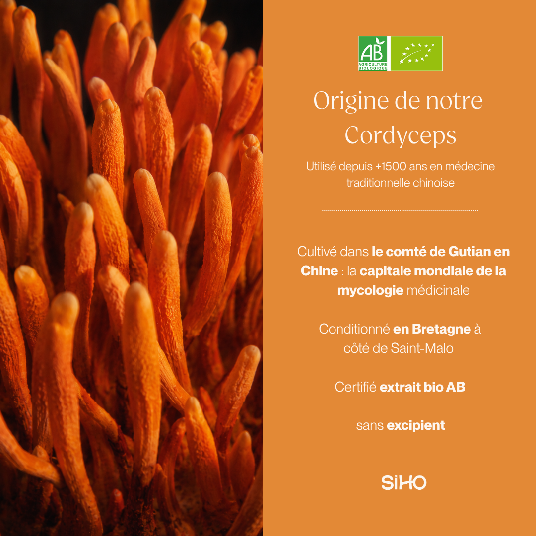 Cordyceps Bio Ultra-Concentré