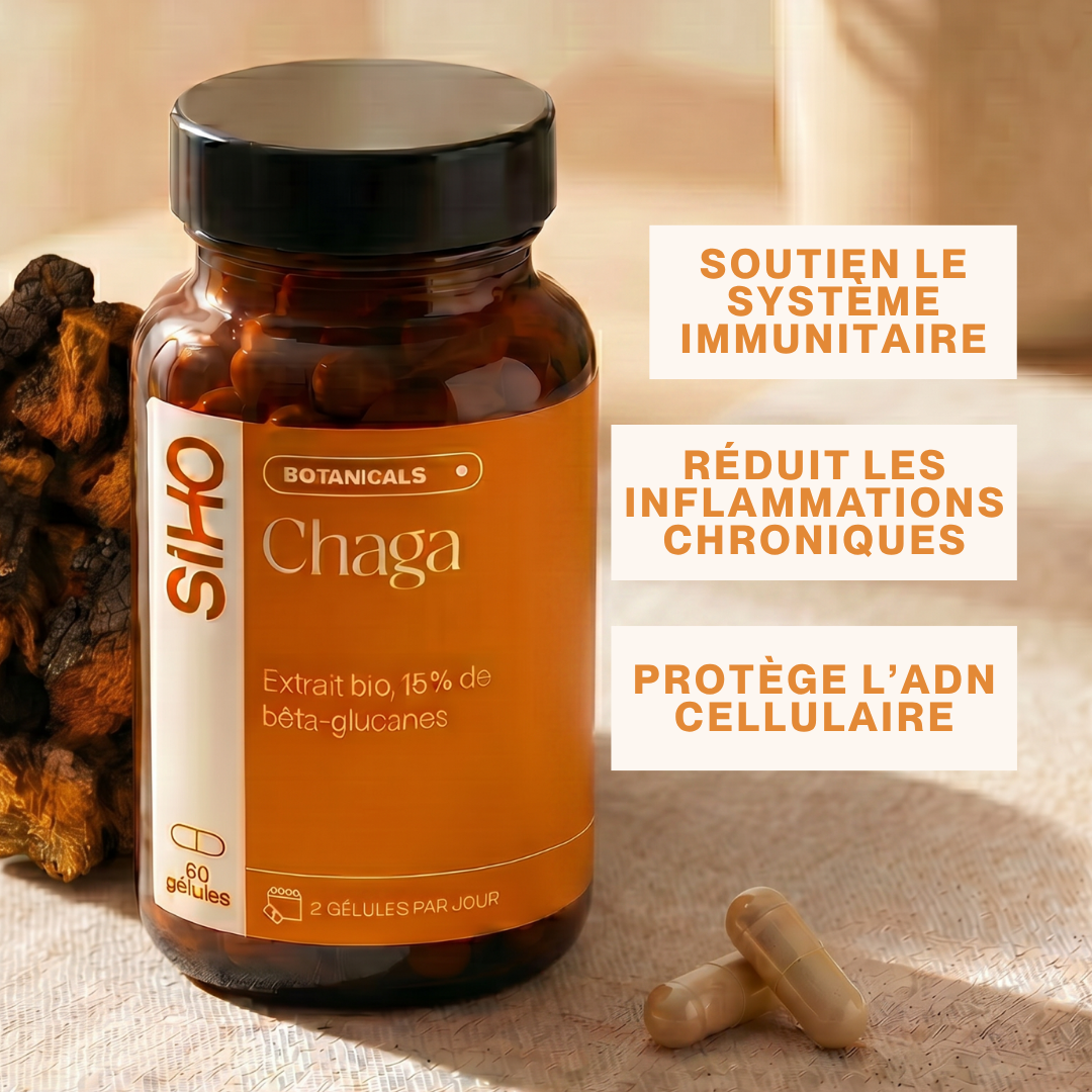 Chaga, extrait bio hautement dosé