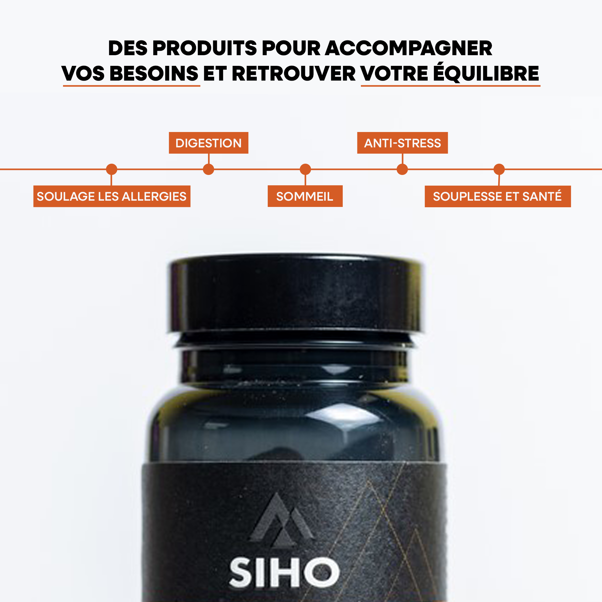 Chaga, extrait bio hautement dosé