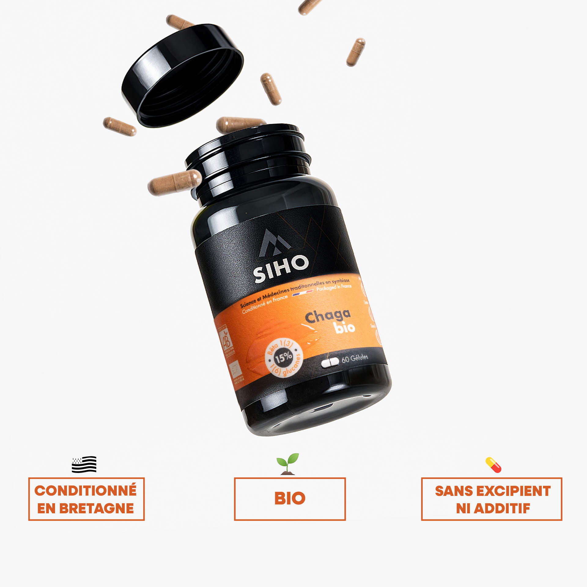 Chaga, extrait bio hautement dosé