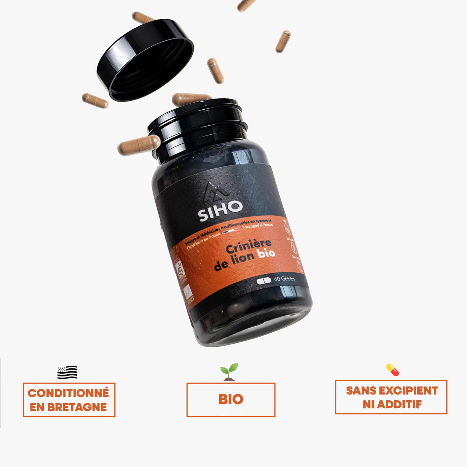 Hericium / Crinière de lion, extrait bio - 60 gélules - 1 mois