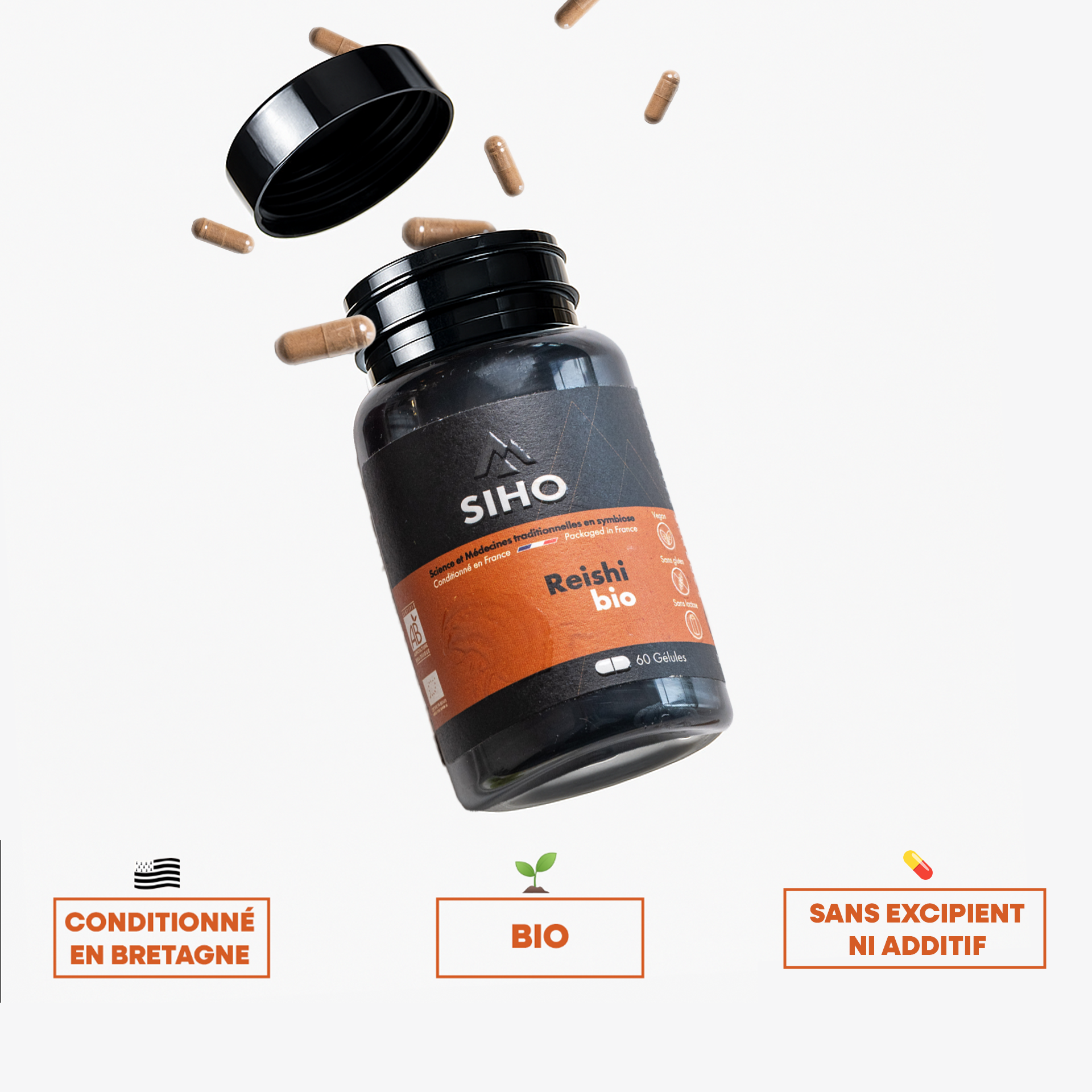 Reishi extrait bio