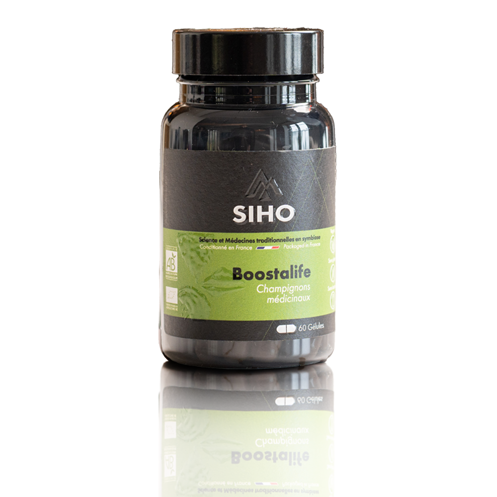 Boostalife, extrait bio de 3 champignons: reishi, chaga et héricium