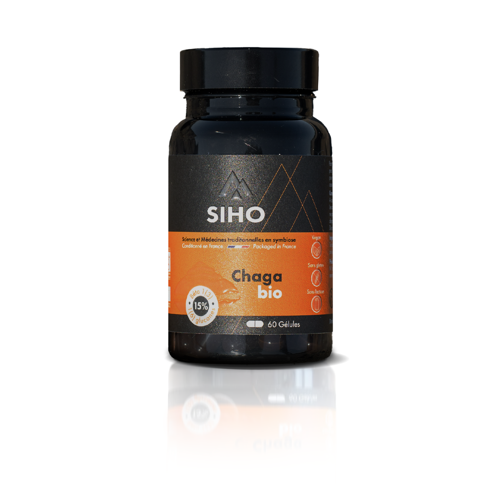 Chaga, extrait bio hautement dosé