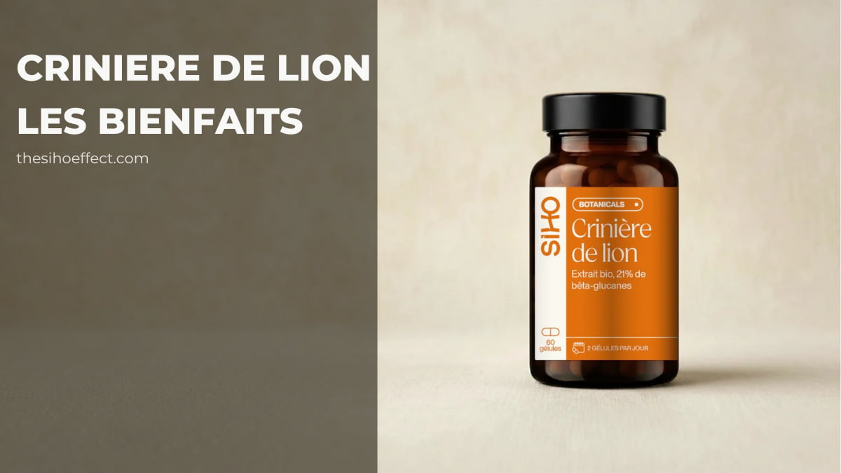 les bienfaits de la criniere de lion