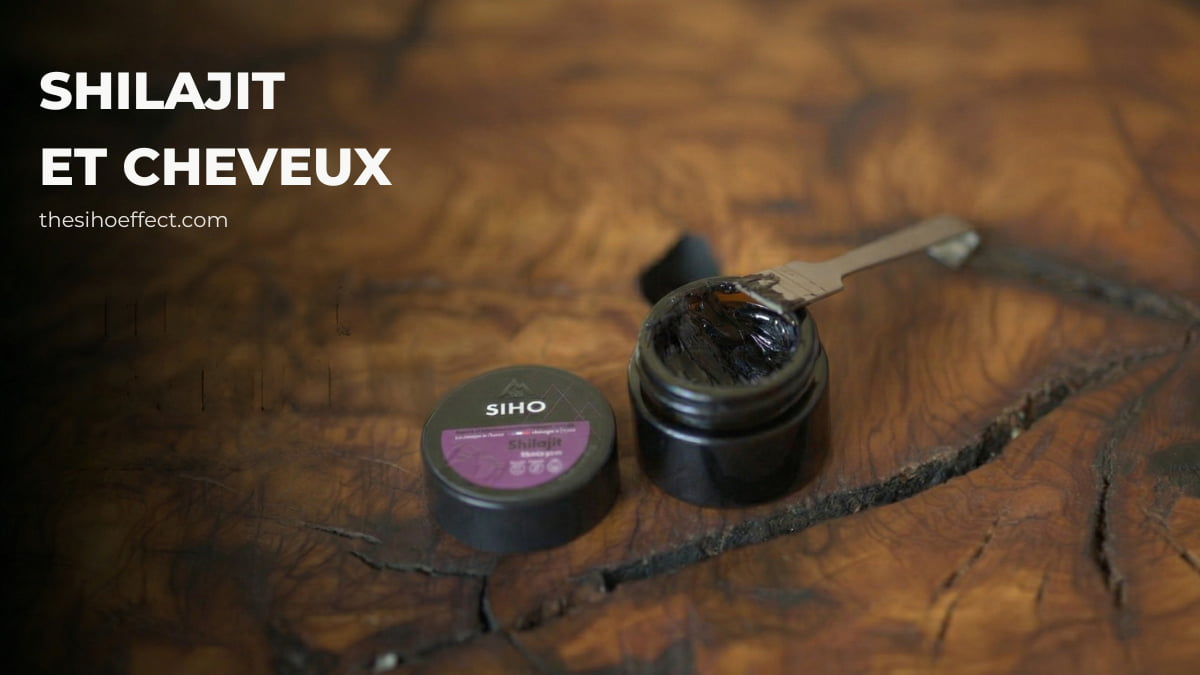 shilajit cheveux