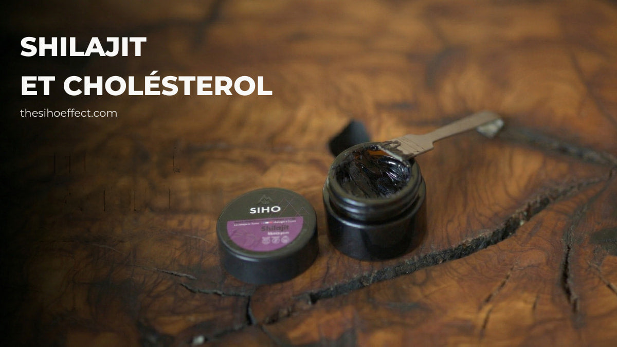 shilajit cholesterol