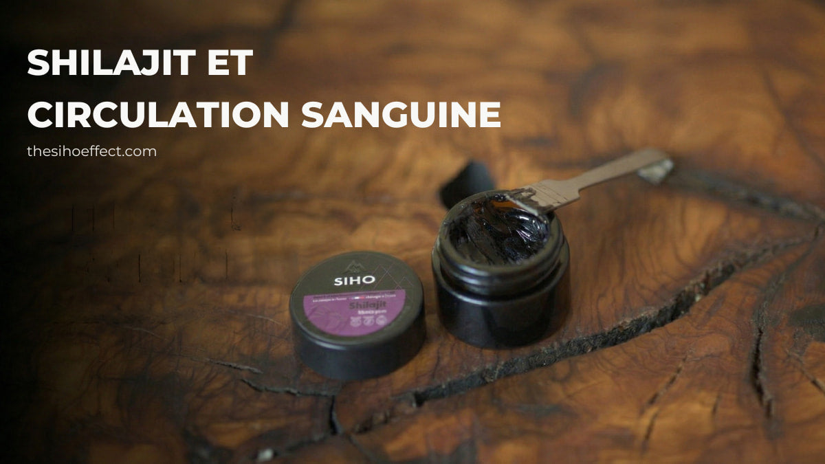 shilajit circulation sanguine