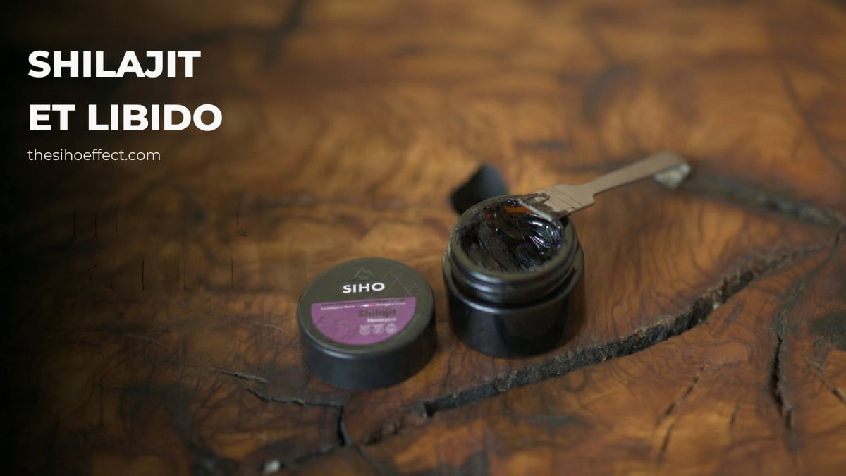Le shilajit a-t-il vraiment un effet sur la libido ?