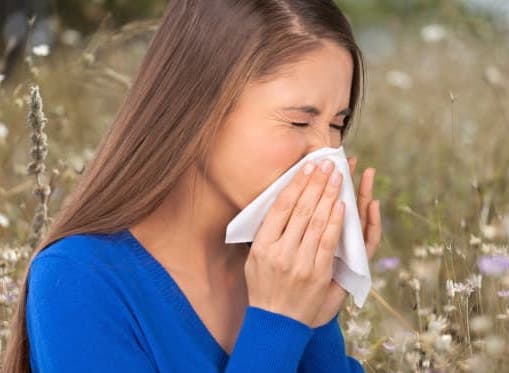 Allergies et compléments alimentaires