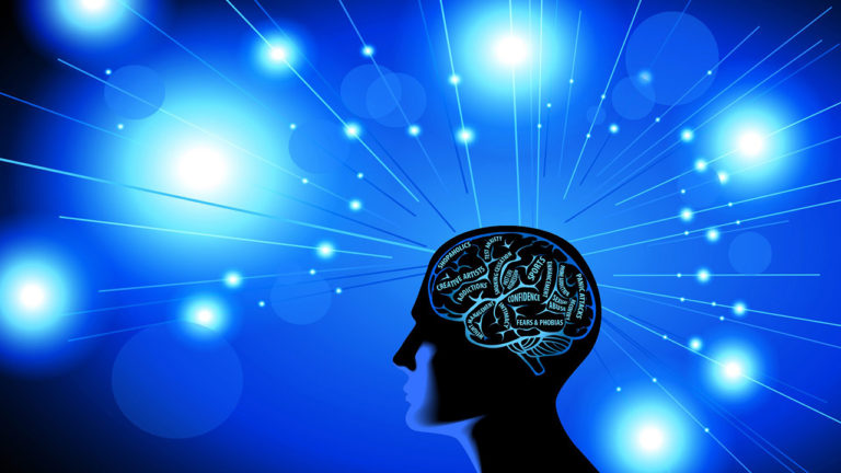 Les bienfaits de l'alimentation sur le cerveau