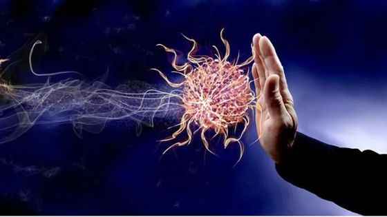 Immunité et nutrition alimentaire