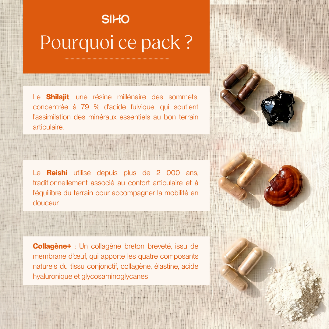 Pack Articulation I Shilajit + Collagène végétarien + Reishi Bio