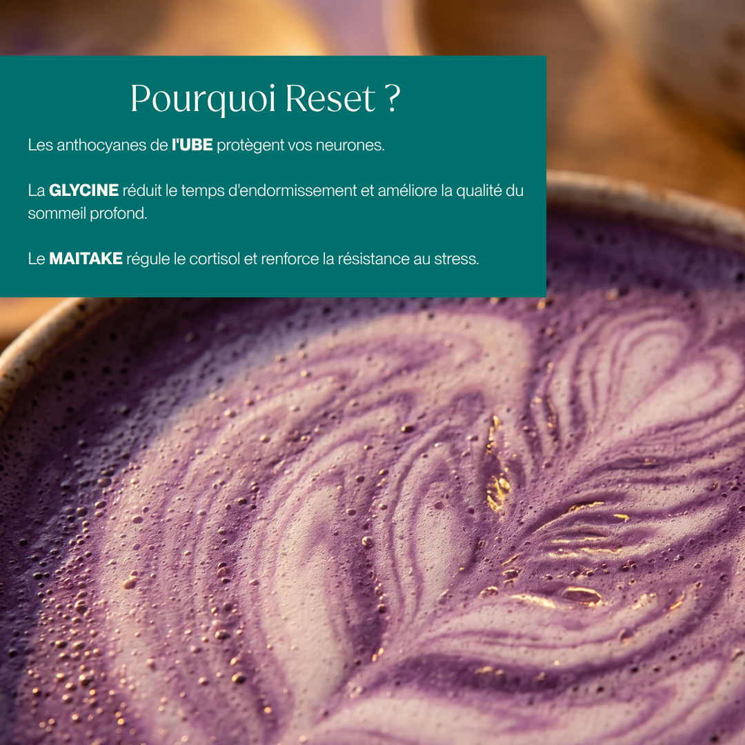 Reset | Boisson Fonctionnelle Ube Glycine Maitake - Sommeil & Relaxation