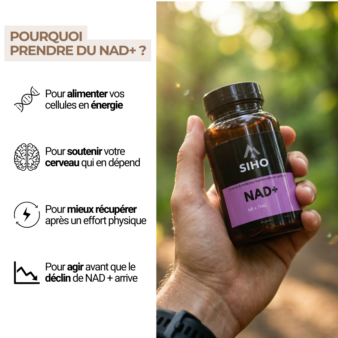 NAD+ | Énergie Cellulaire & Longévité | 60 gélules