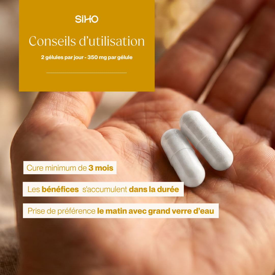 Collagène+ I 60 gélules