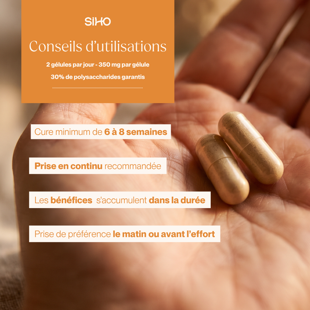Cordyceps Bio Ultra-Concentré