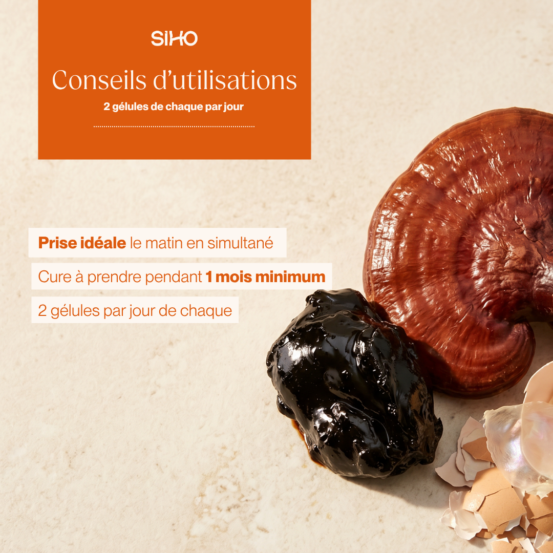 Pack Articulation I Shilajit + Collagène végétarien + Reishi Bio
