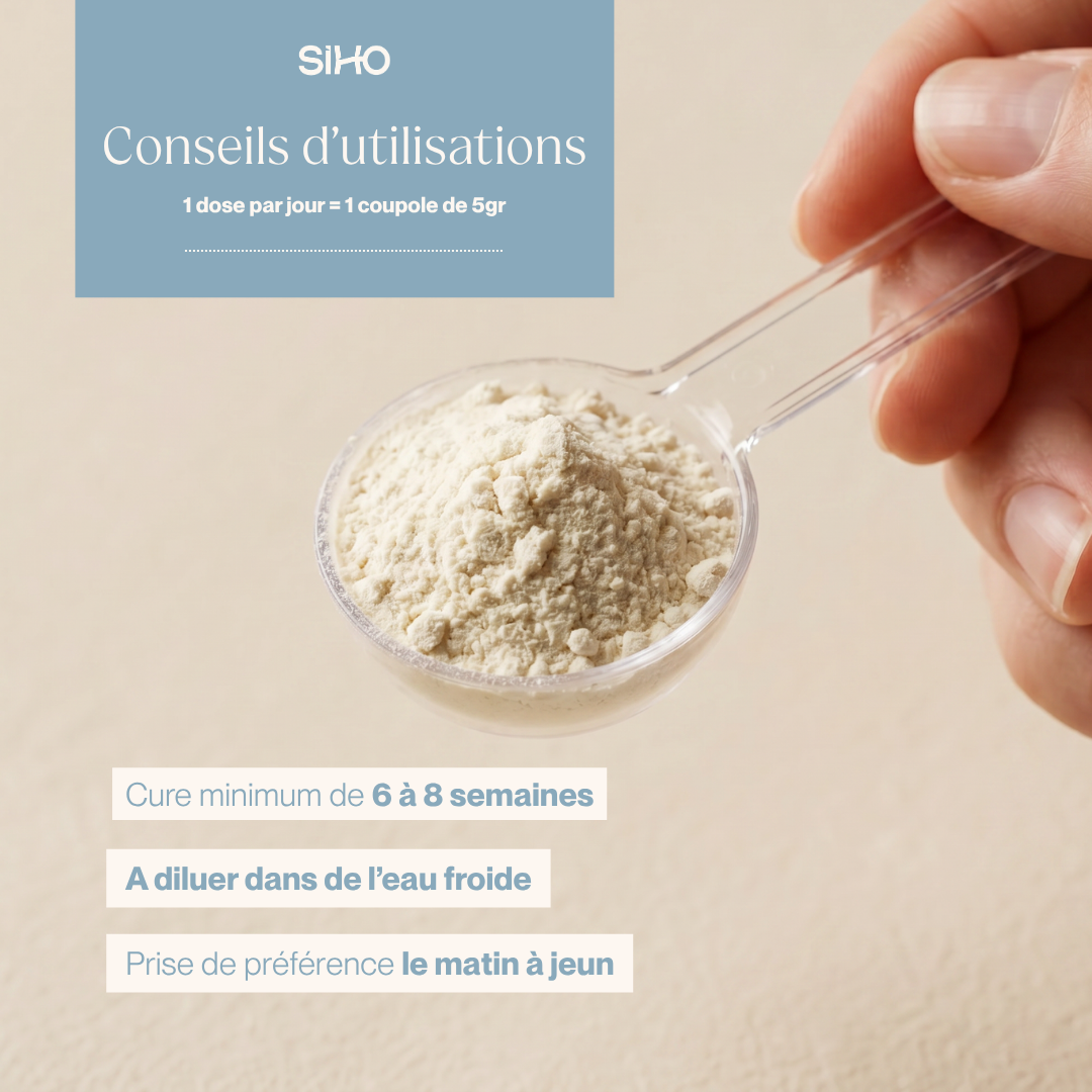 Colostrum bovin français