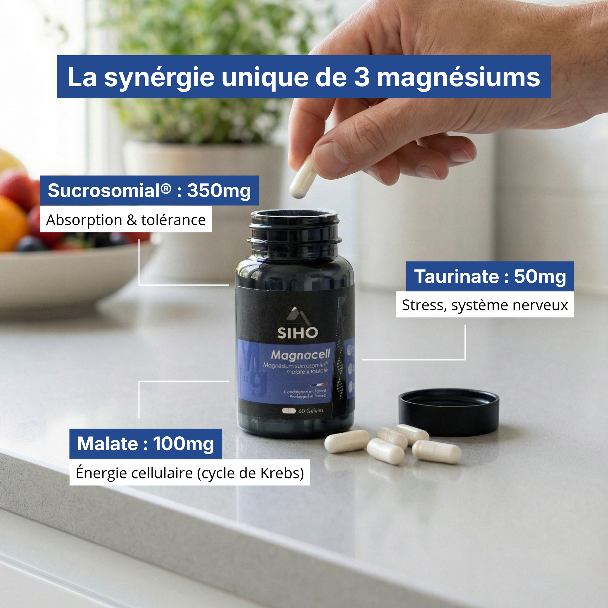 Magnacell - Complexe de 3 magnésiums