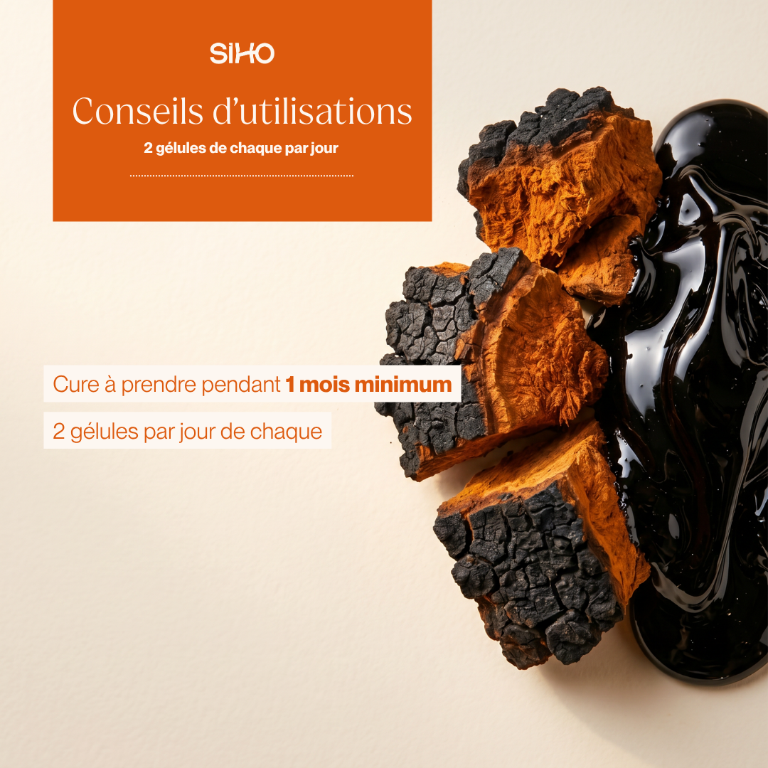 Pack Immunité I Chaga Bio + Shilajit