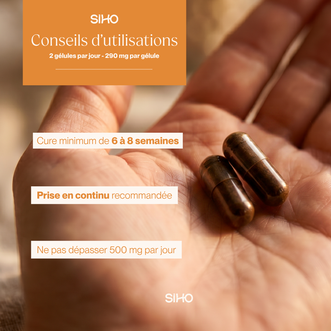 Shilajit Pur en gélules : Pur à 100% - 60 gélules - 1 mois