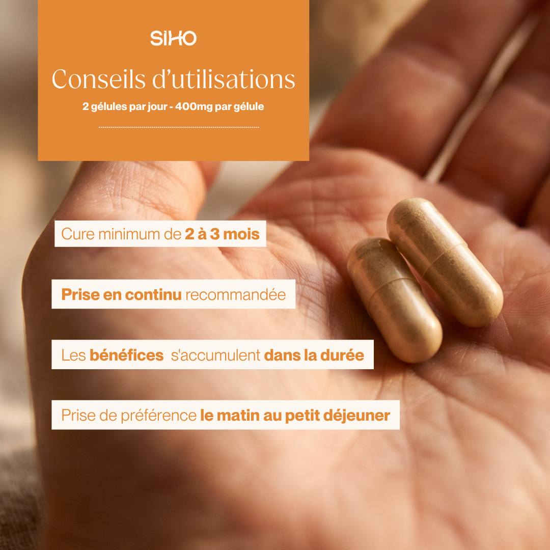 Hericium / Crinière de lion, extrait bio - 60 gélules - 1 mois