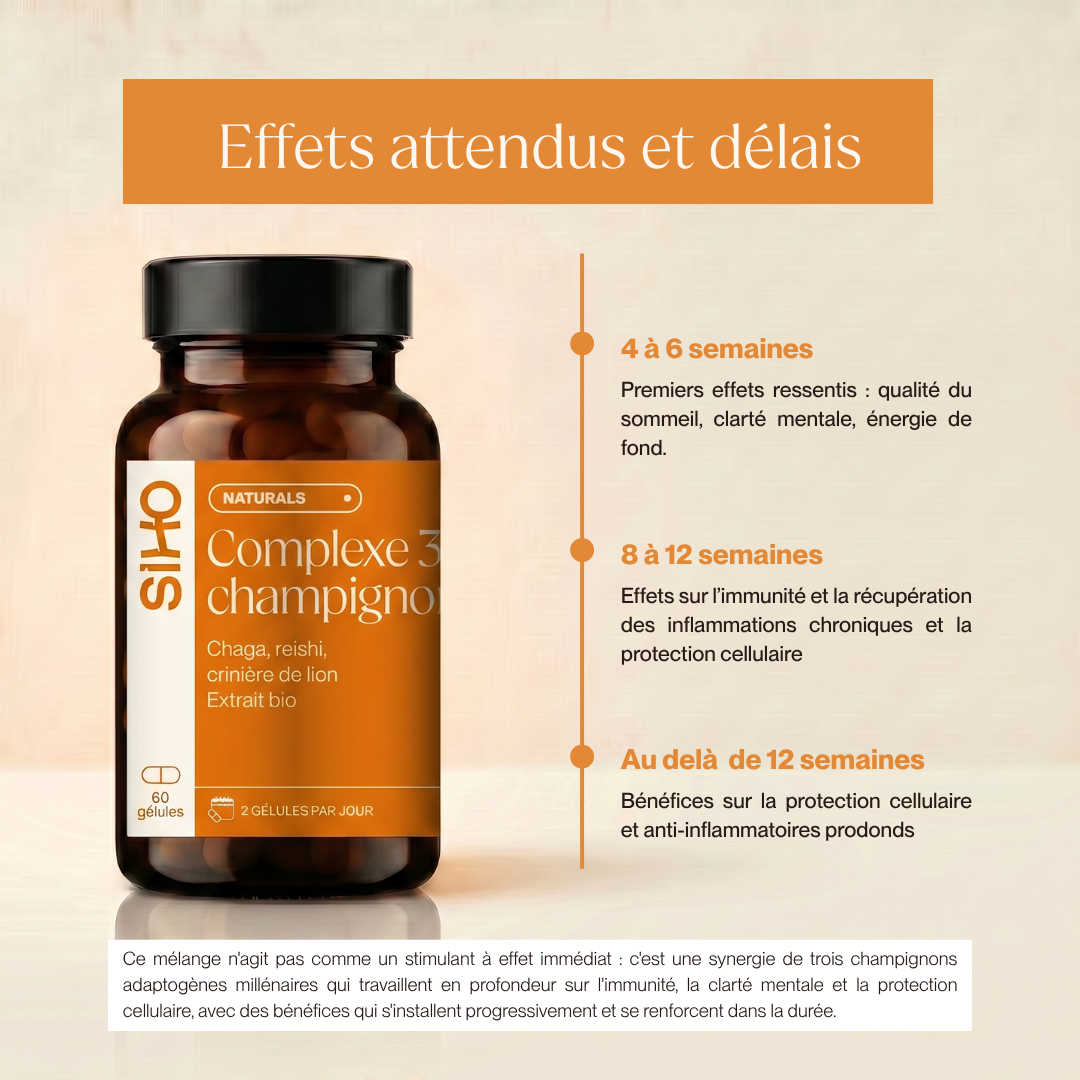 Complexe 3 champignons : Reishi, Chaga, Crinière de lion I 60 gélules
