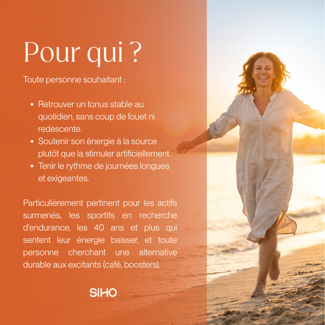 Pack Énergie I Shilajit + Cordyceps + CoQ10