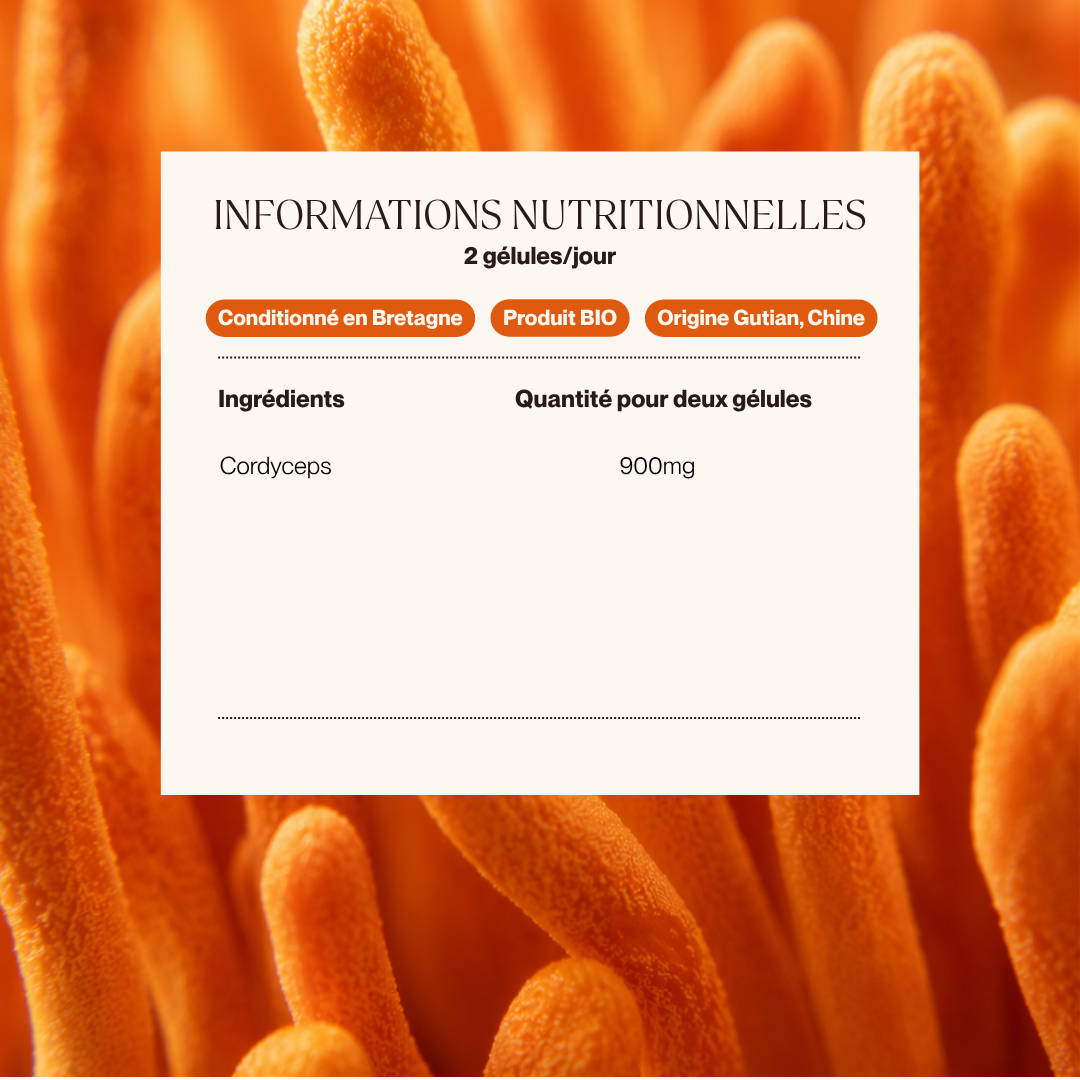 Cordyceps Bio Ultra-Concentré